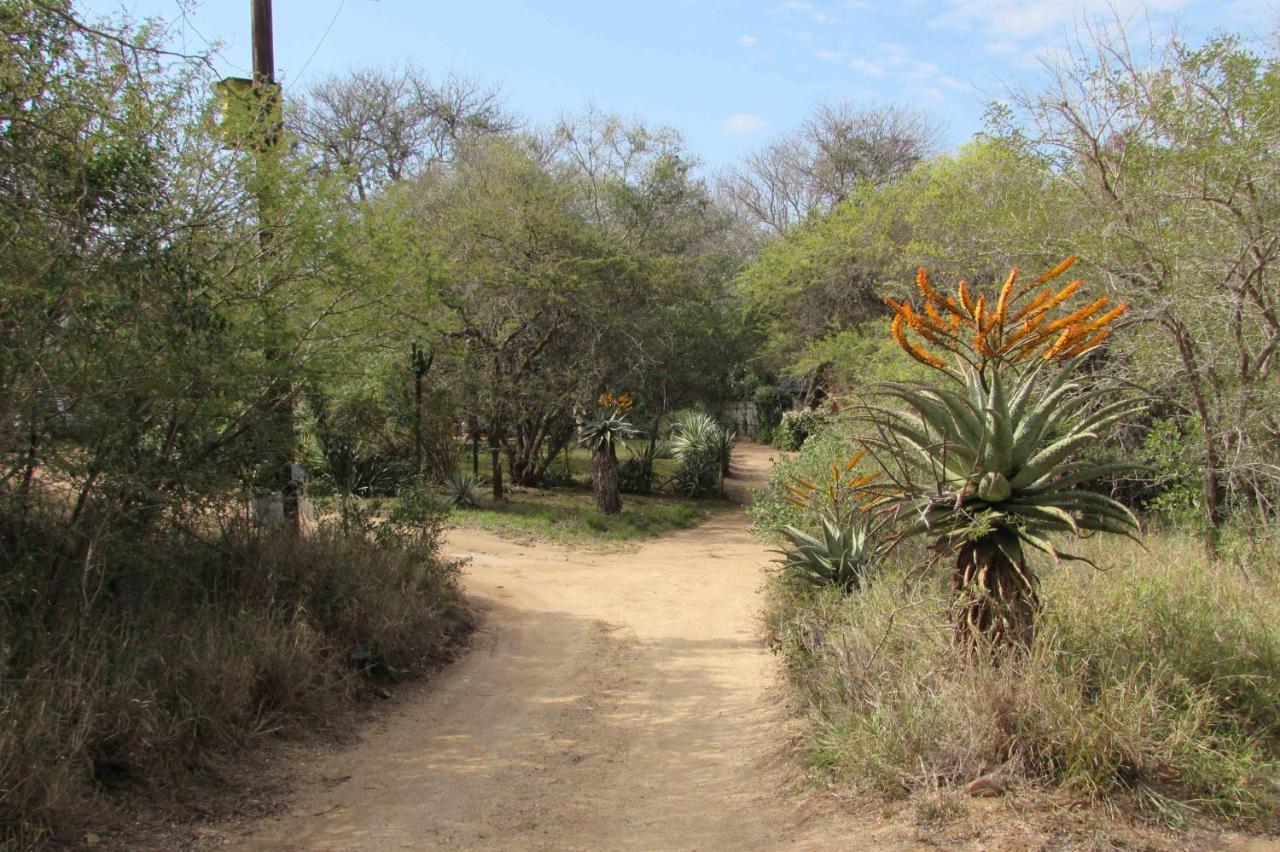 Amanzimlotzi Riverside Bush Camp Hoedspruit Exterior foto