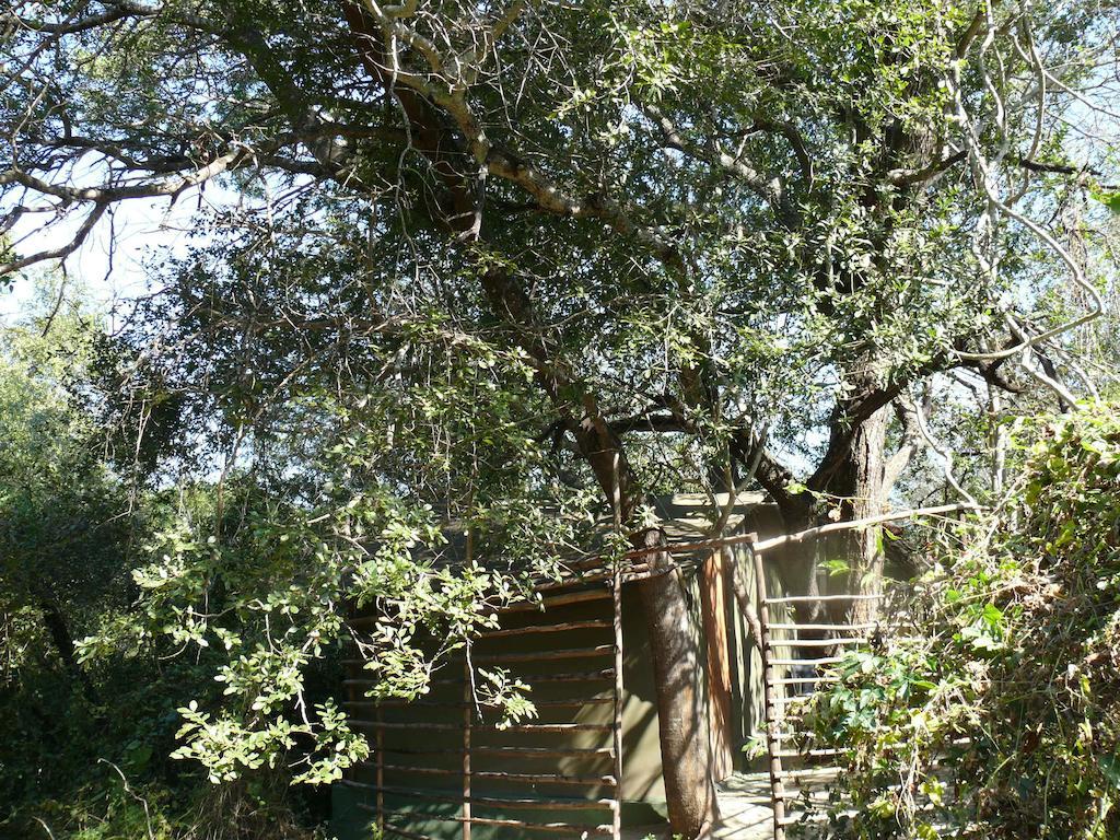 Amanzimlotzi Riverside Bush Camp Hoedspruit Habitación foto