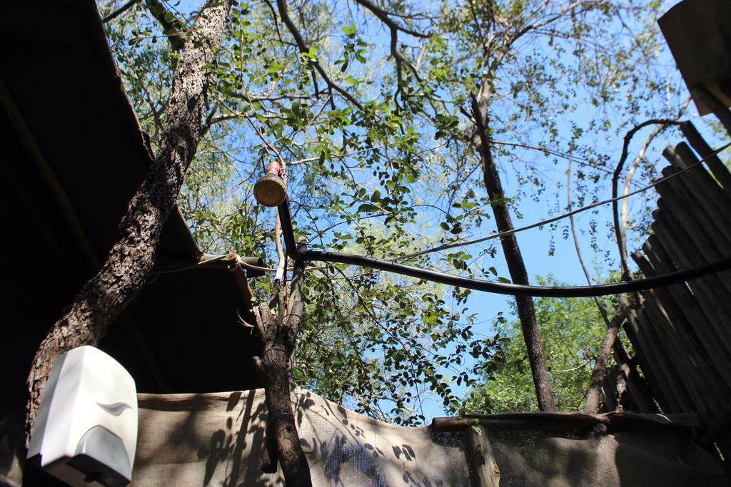 Amanzimlotzi Riverside Bush Camp Hoedspruit Exterior foto