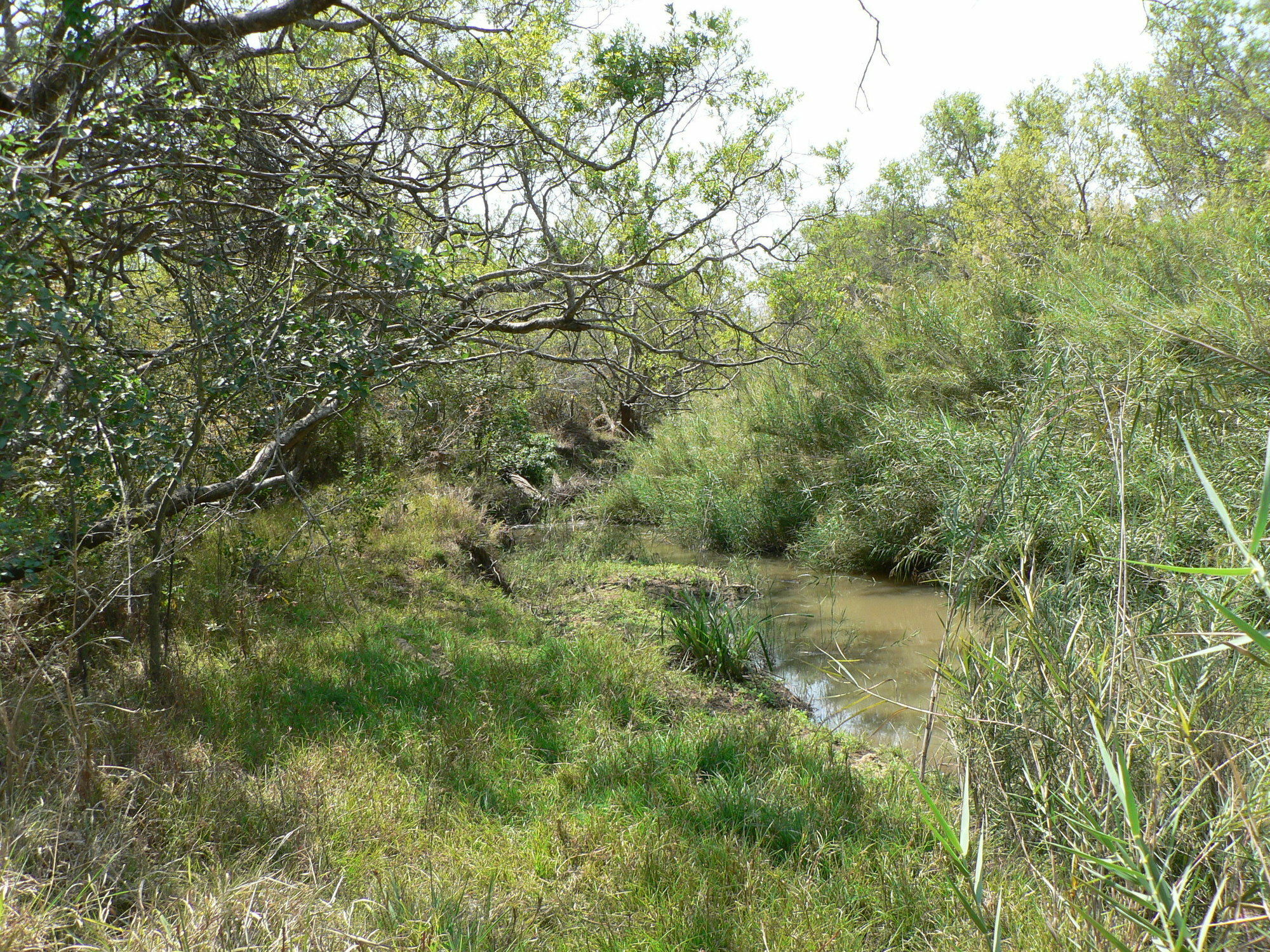 Amanzimlotzi Riverside Bush Camp Hoedspruit Exterior foto